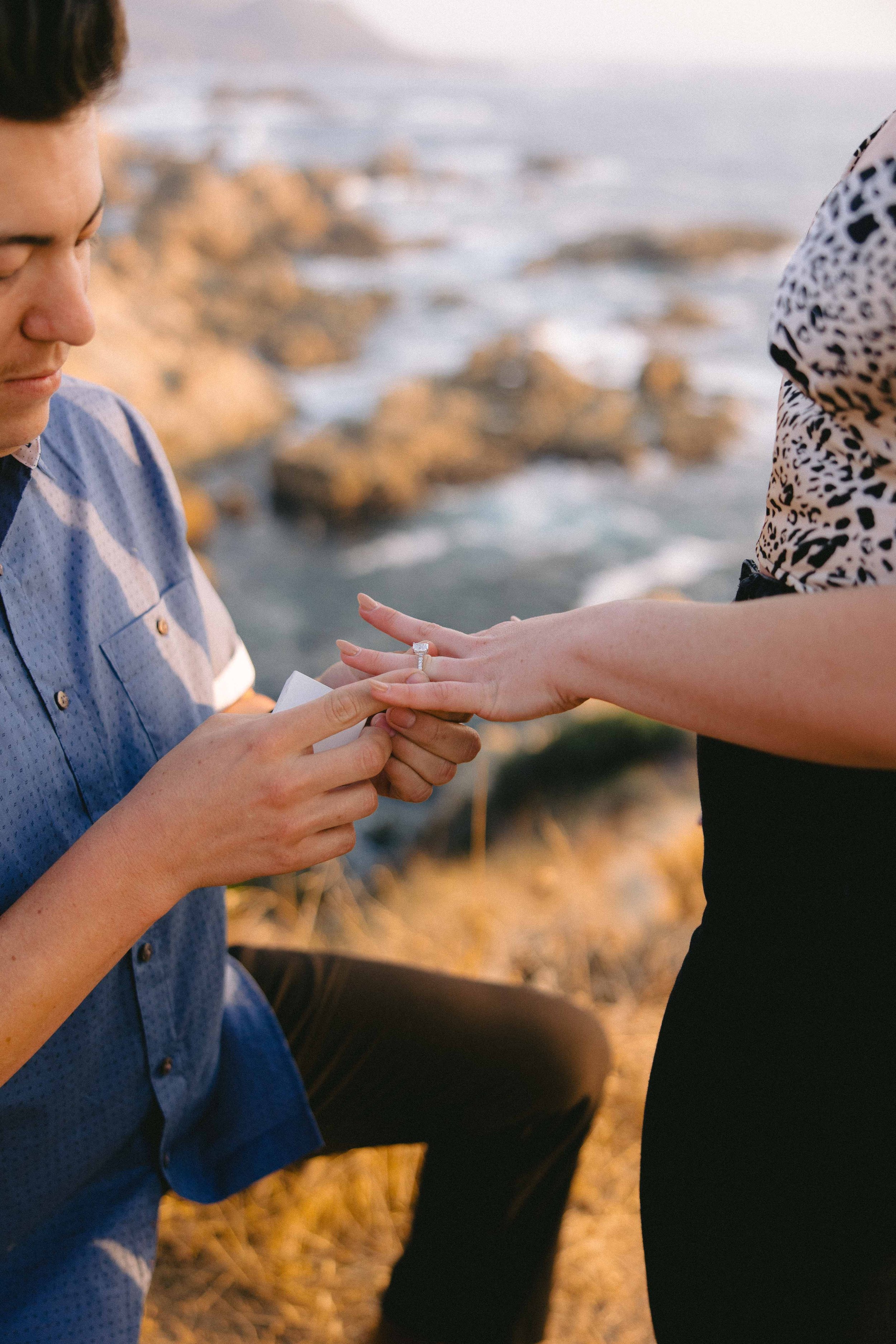 Carmel Proposal Daniel James Photography-9.jpg