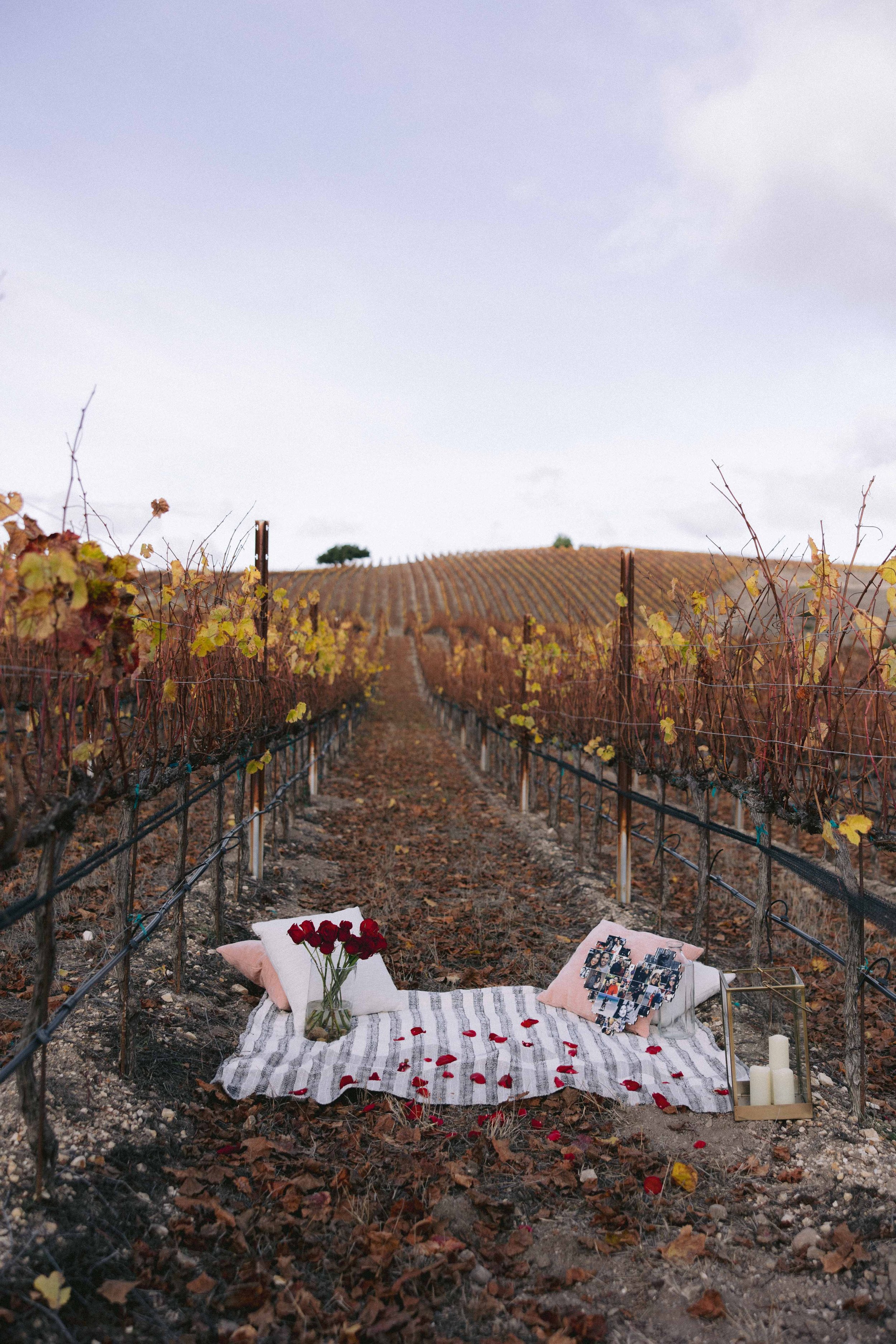 CARMEL PROPOSAL DANIEL JAMES PHOTOGRAPHY-1.jpg