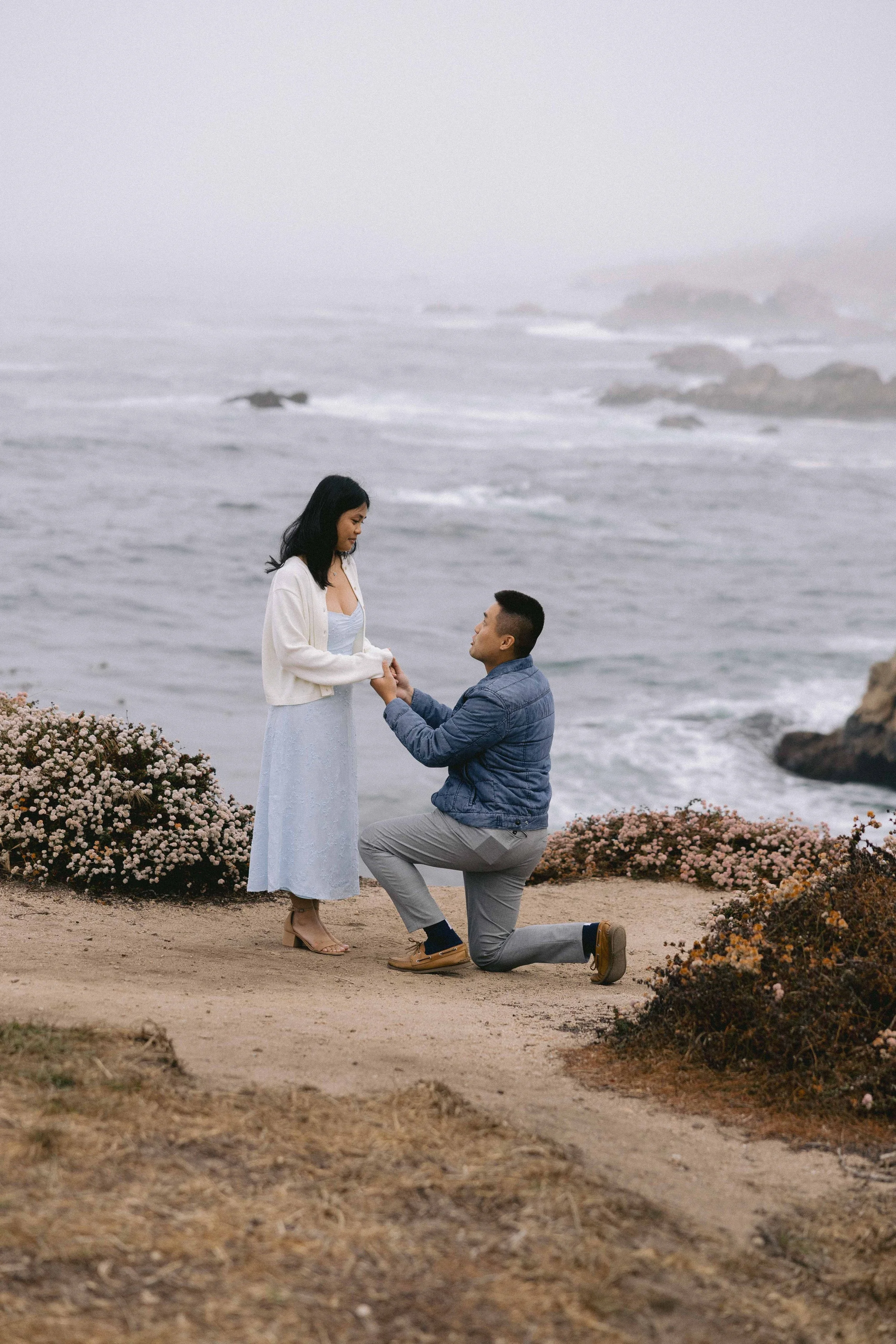 Big Sur Garrapata Proposal and Elopement 