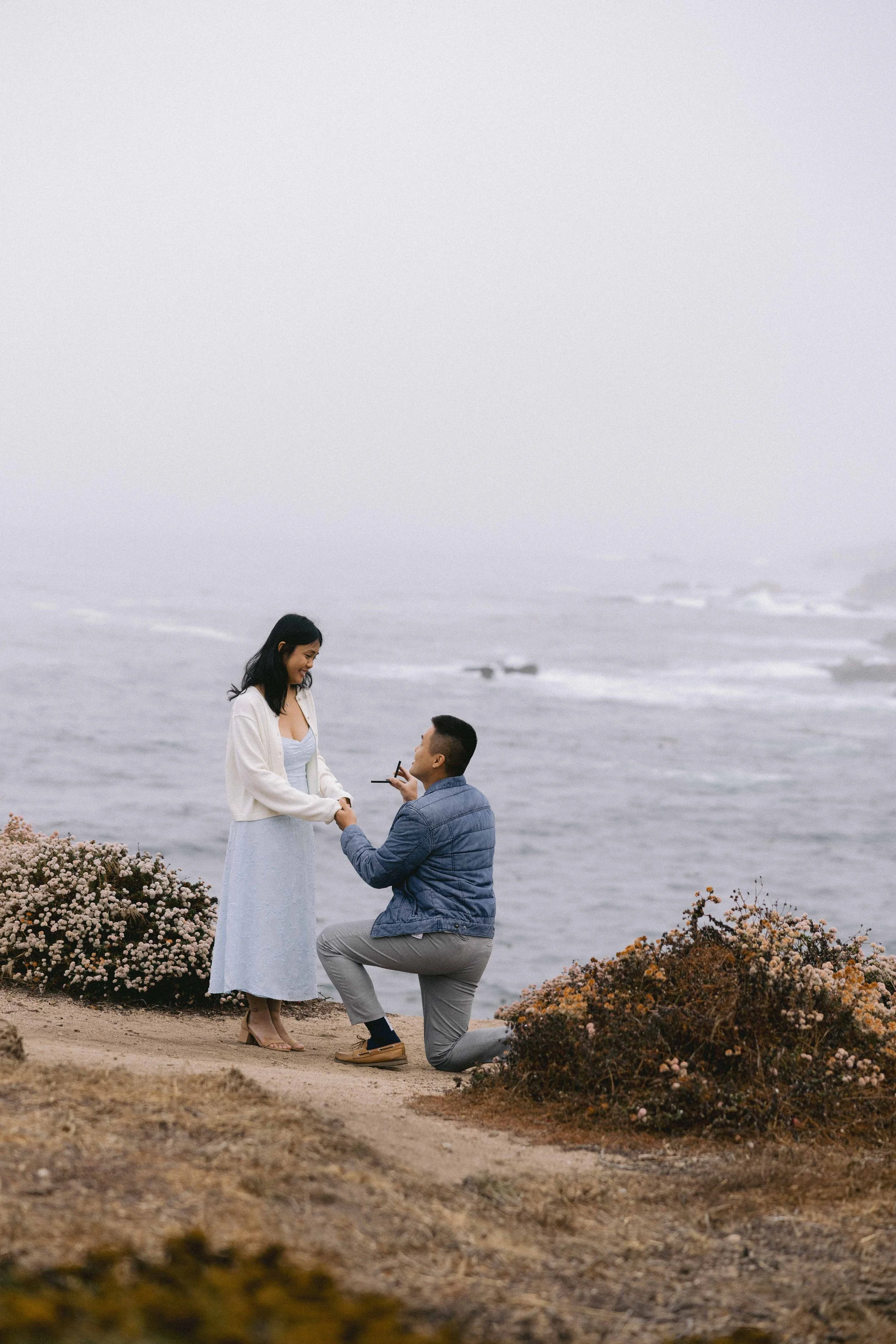 Big Sur Garrapata Proposal and Elopement