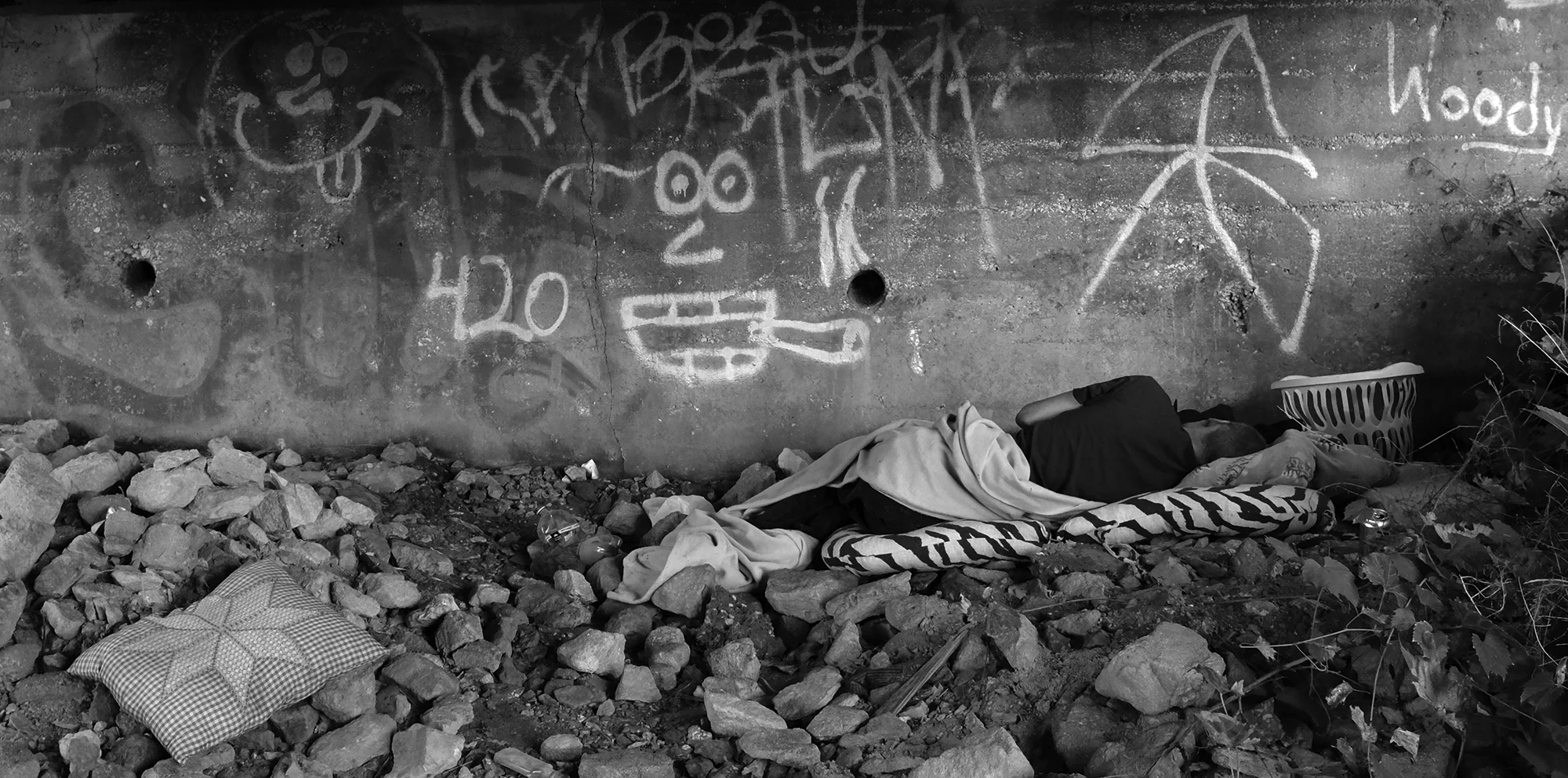 dpi projects banner2486_AUG_.jpg