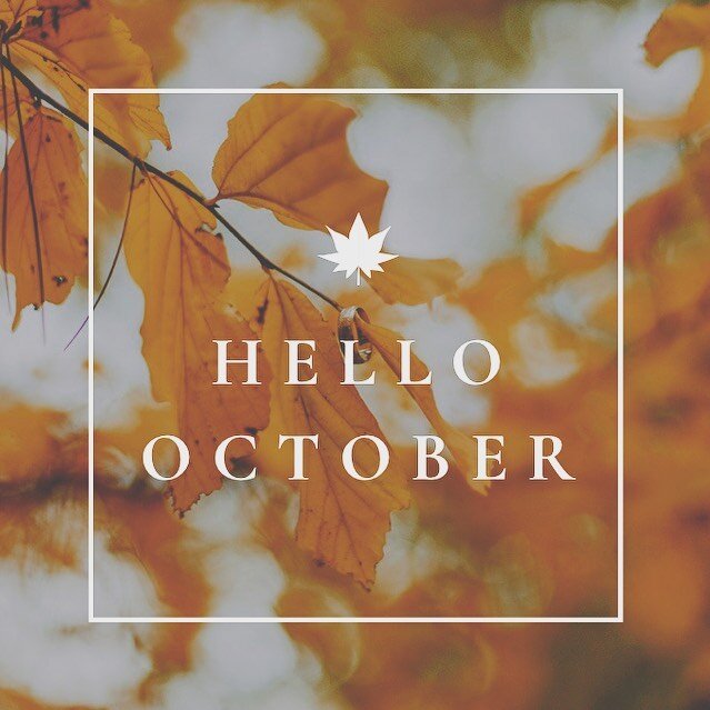 Fall is in the air! 

Welcome to October! The full month is now open for booking! 

#Bvalianthair #bvalianthairsalon #naturalhair #healthyhair #naturalhairsalon #naturalhairsalons #ncnaturalhairstylist #ncnaturals #ncnaturalhairspecialist #locs #twos
