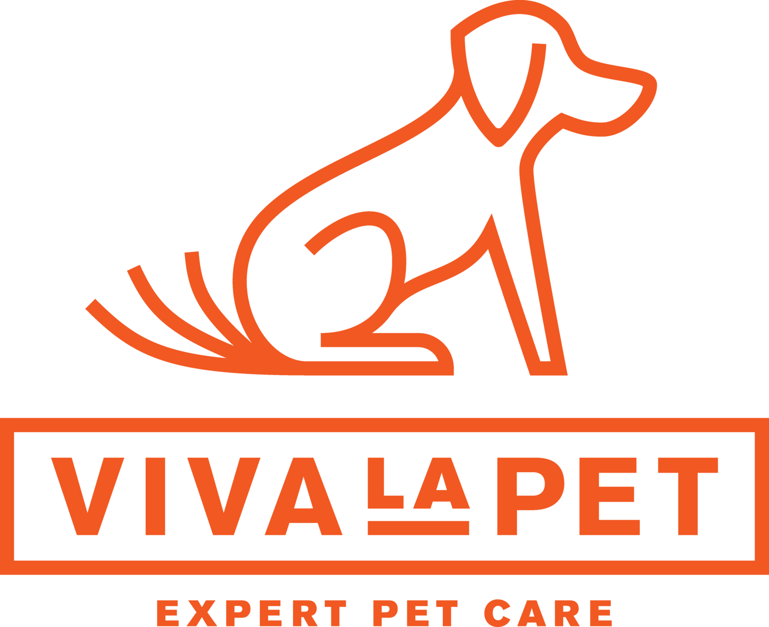 Pet Care Experts|Dog Walking|Pet Sitting|Overnight Pet Sitting|