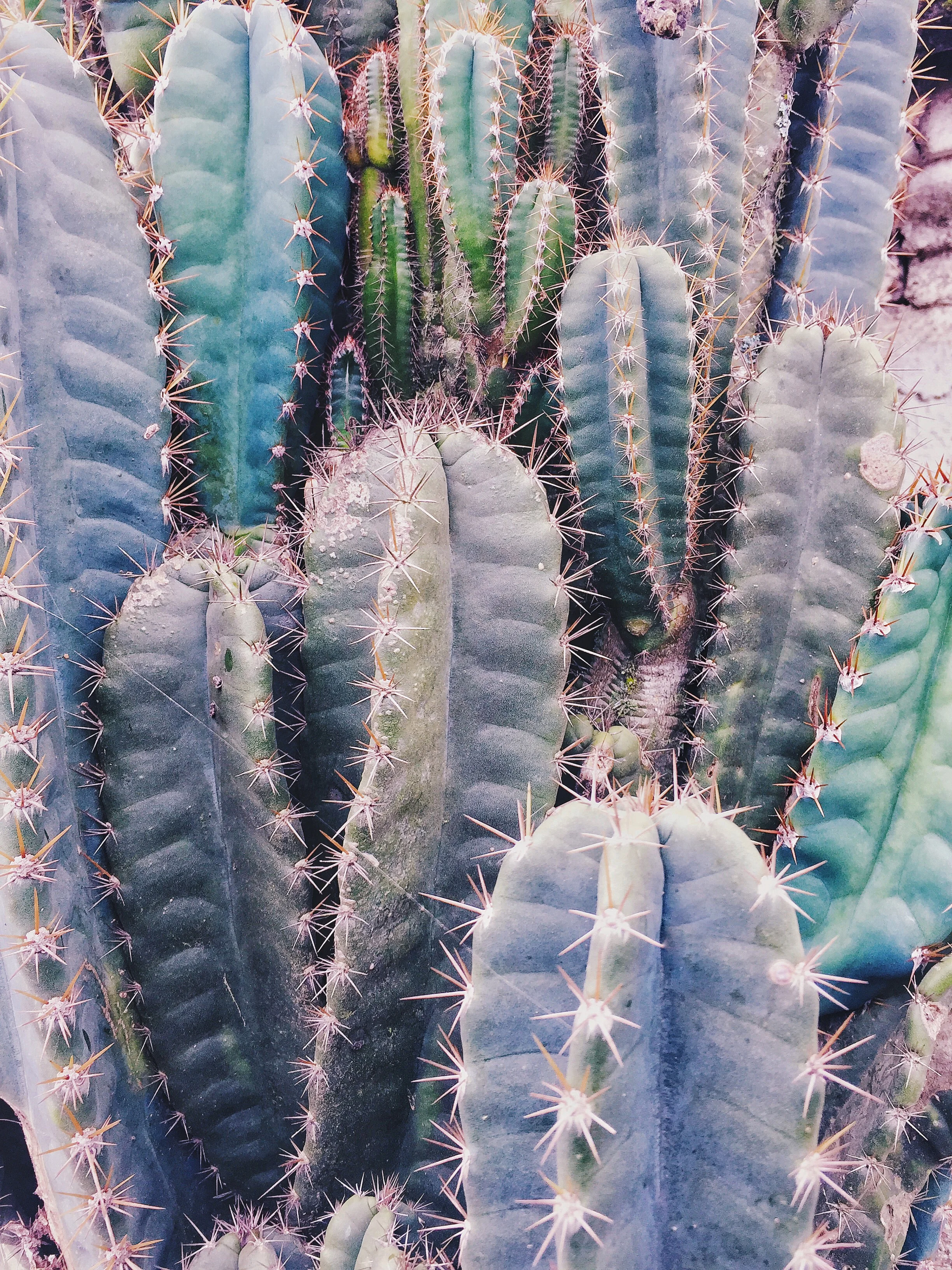 FloralDeco_004.jpg