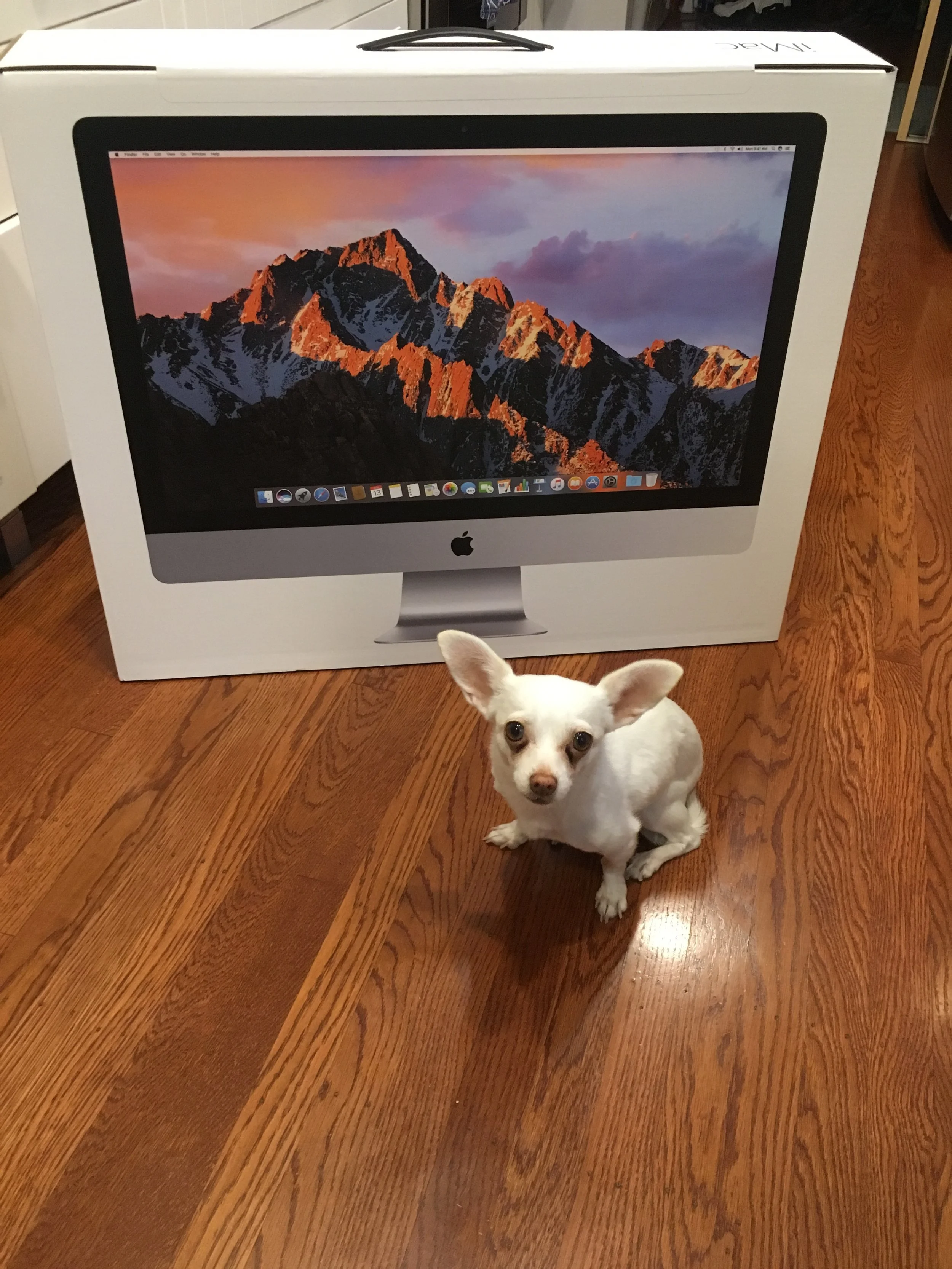 iMac Lulu.JPG