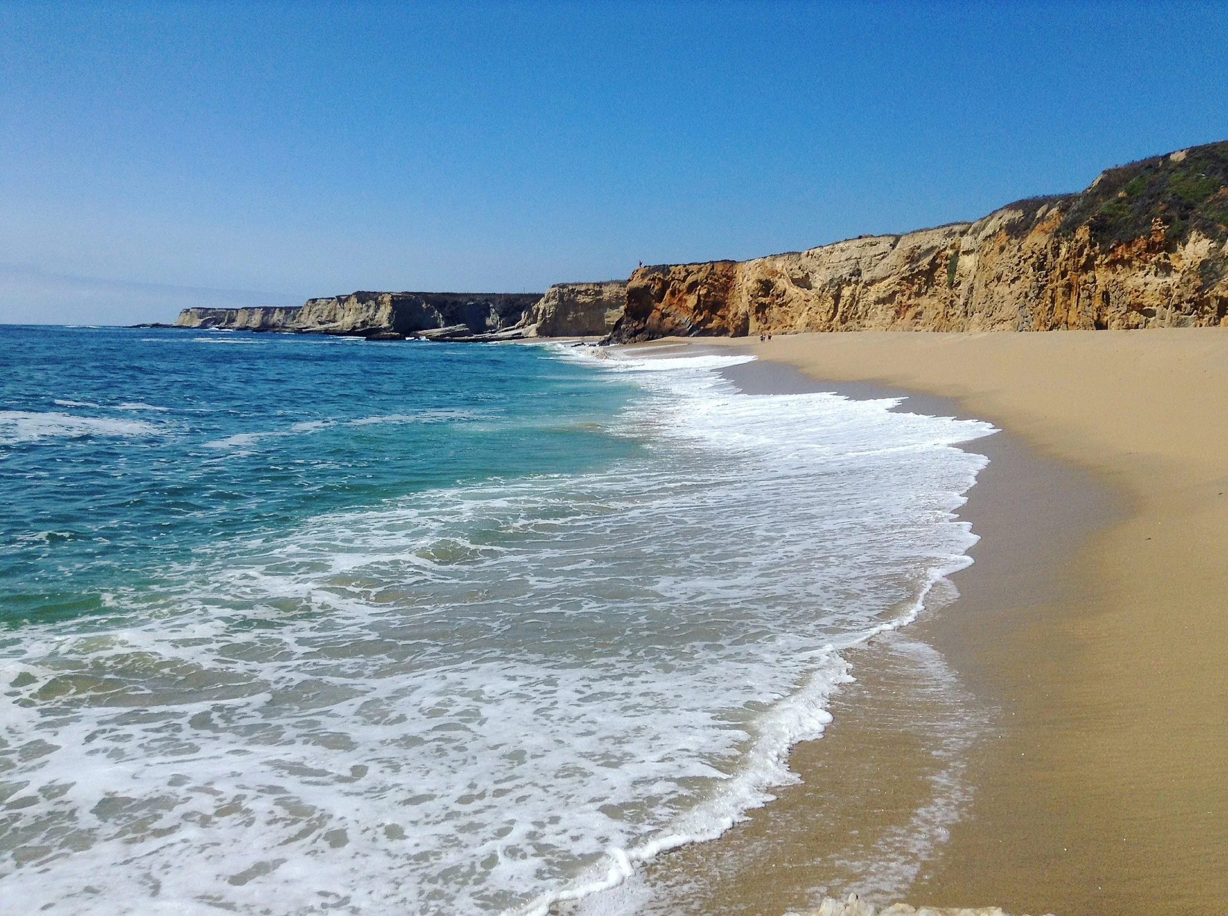 The shores I roam
