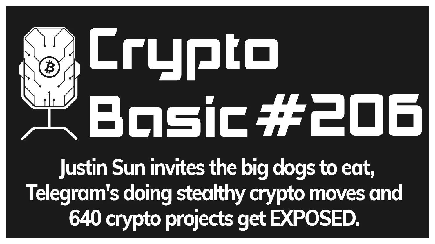 206 big.png
