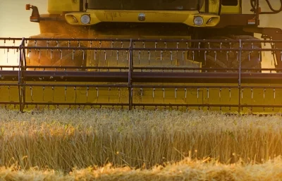 Done With Seed-Planting