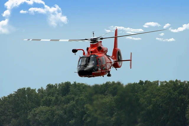 What Does Rescue Look Like?