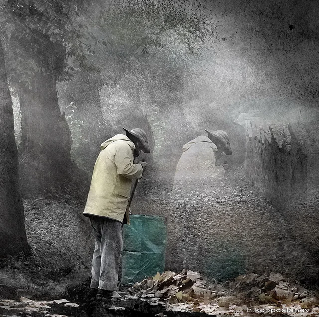 Looking for a Dead Jesus