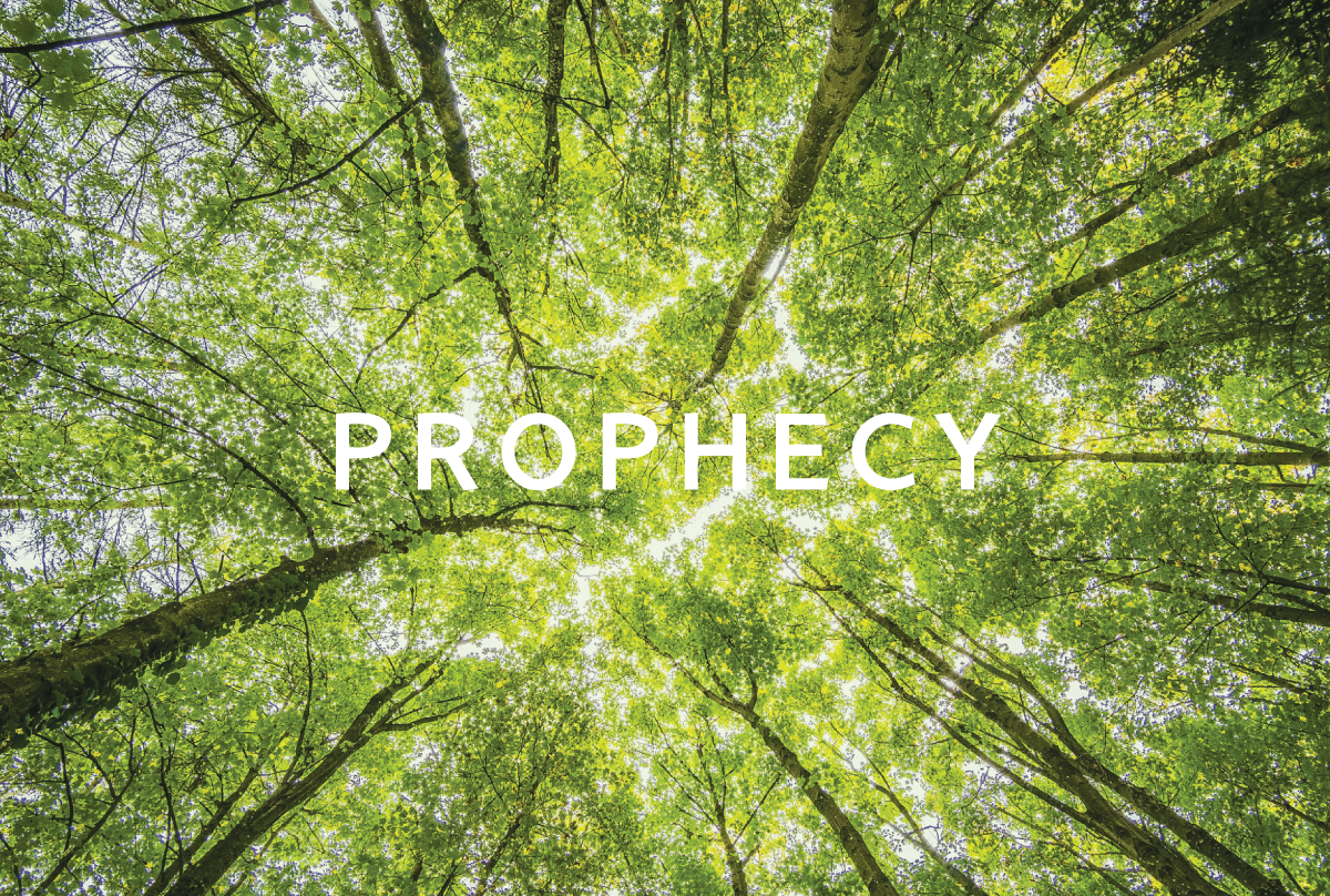 PROPHECY COURSE