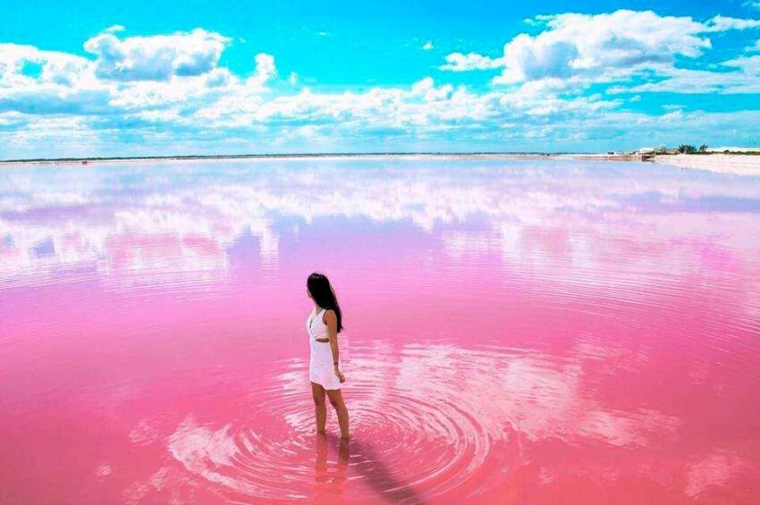 pink-sea.jpg