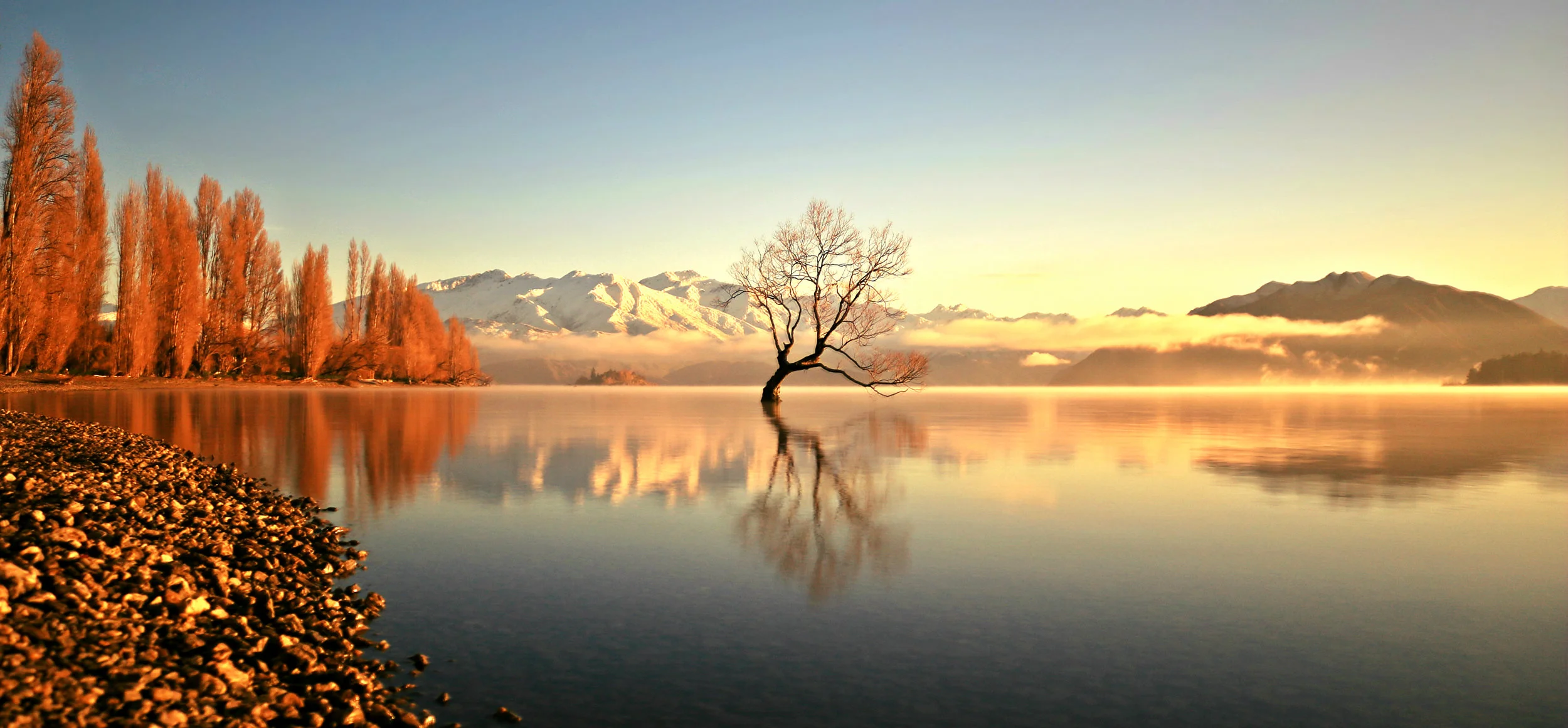 WANAKA 1.jpg