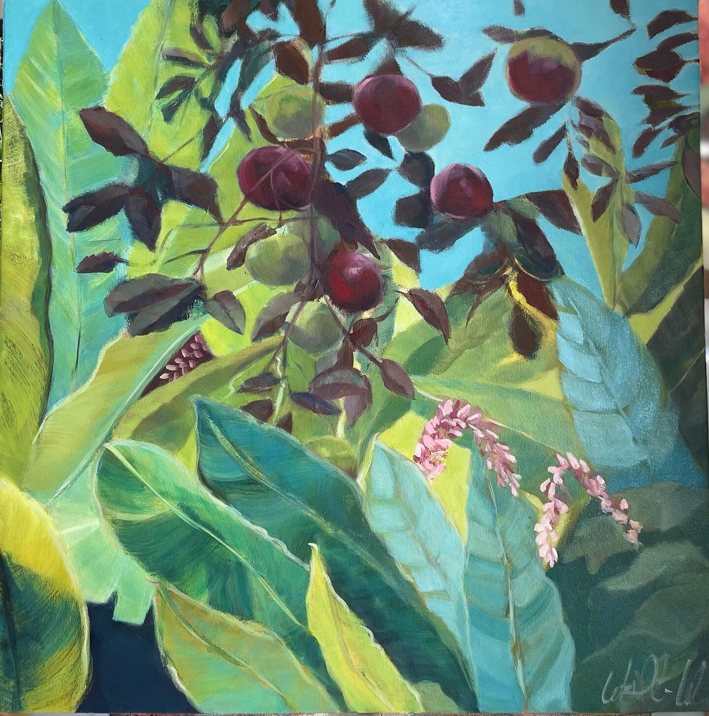 A secret garden
away from the noise of life
leaves flutter
sunlight dapples
so very quiet 
every plant has its own glory
alone and yet surrounded by life
light falling
patterns changing 
my garden 60x60 oil on canvas #availablewrightwilliamsartwork #