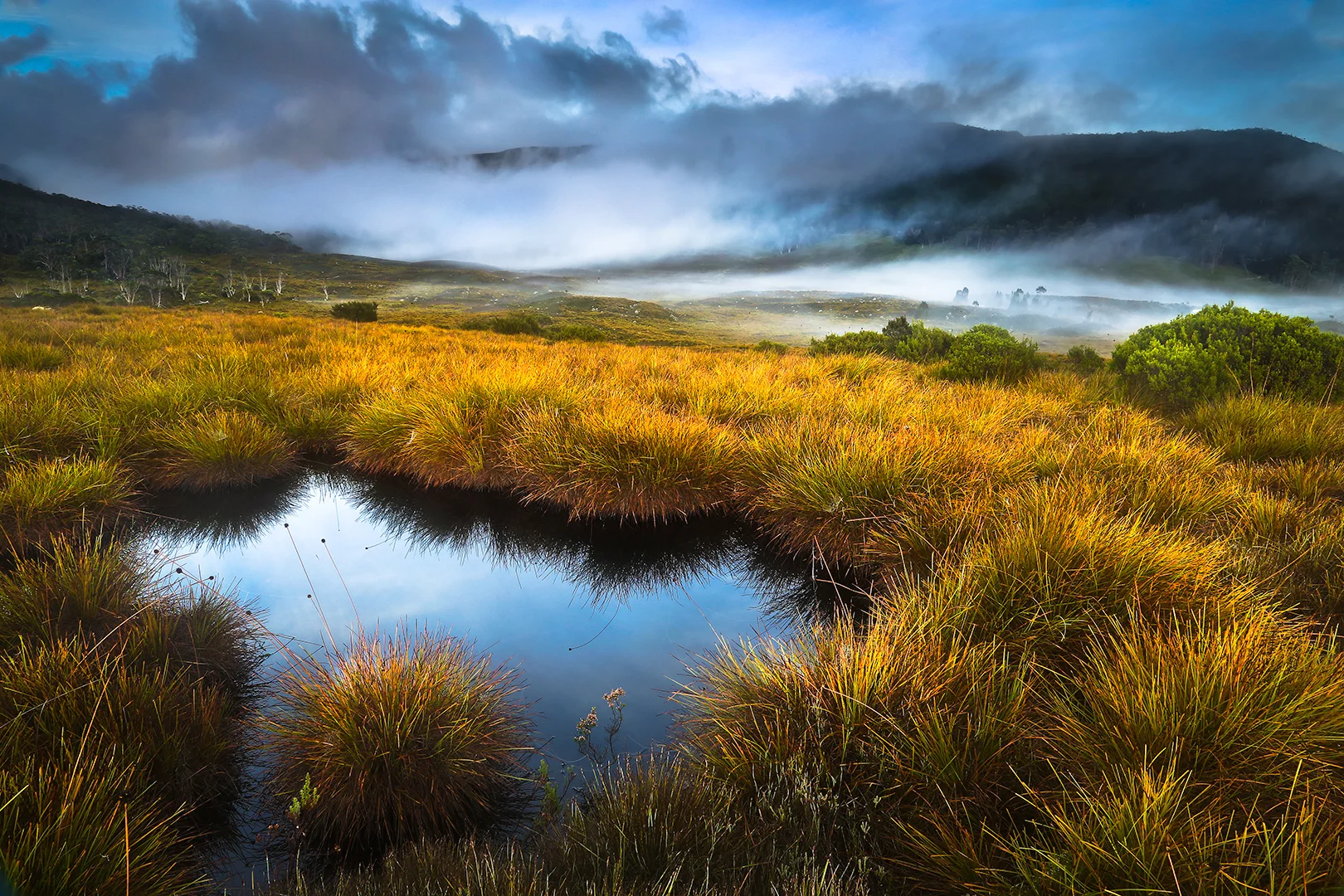 Alpine Tarn - Peter Barrien