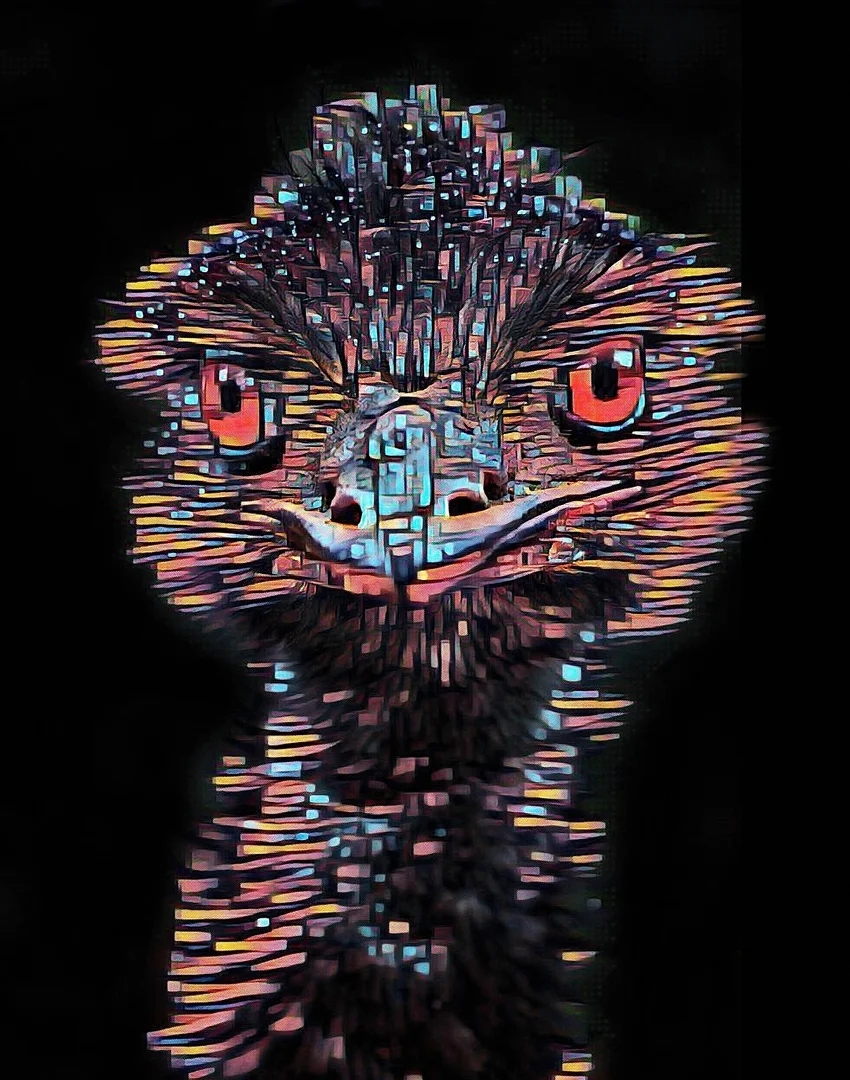 Painted Emu - Paula McManus, FAPS