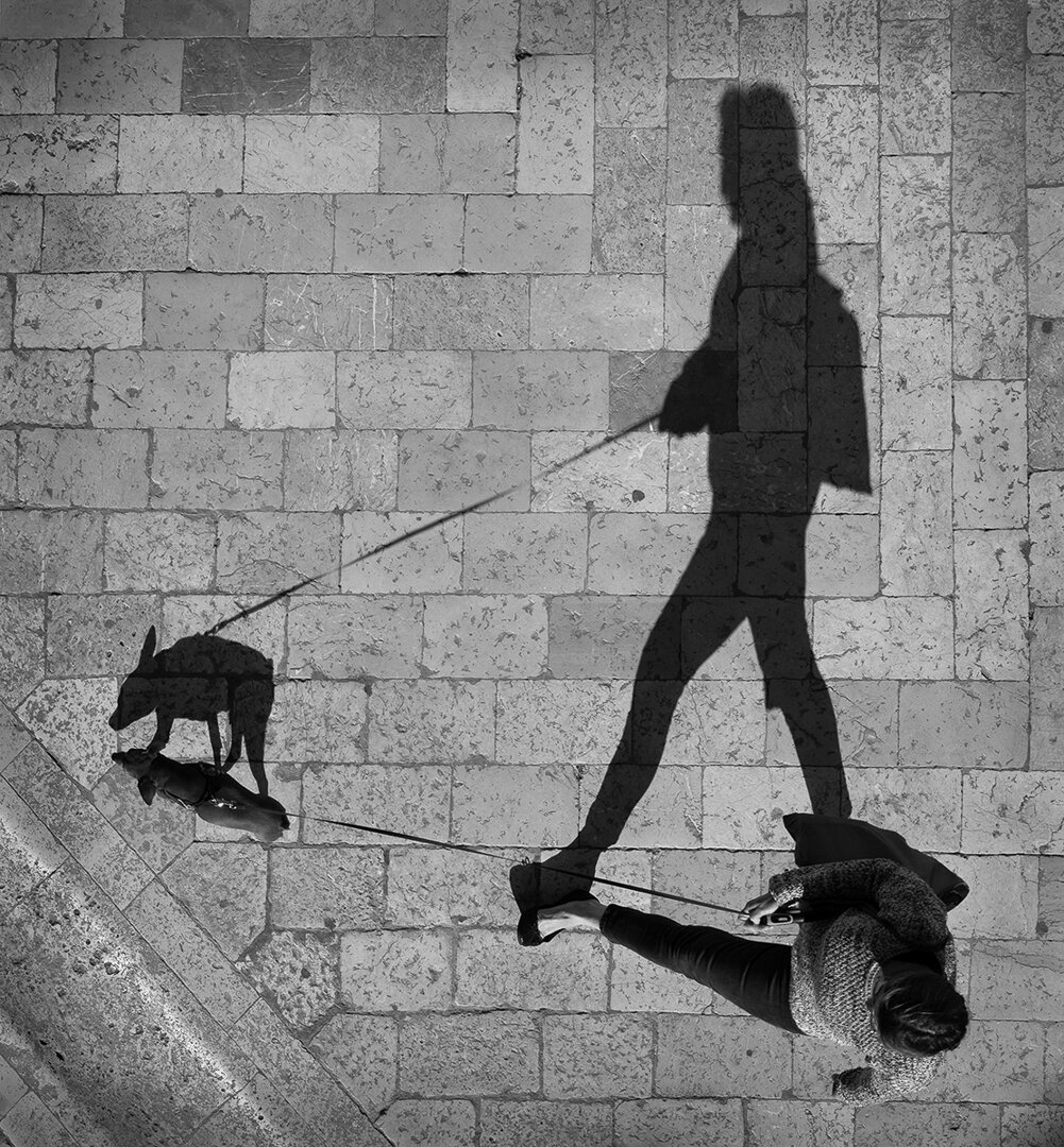David Smith-ES-Walking the Dog-.jpg