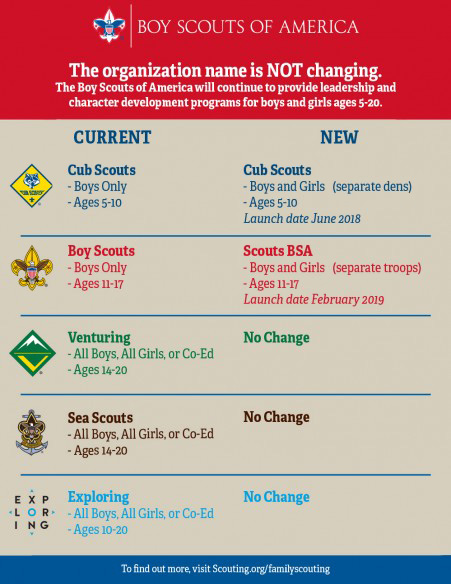 Bsa Org Chart