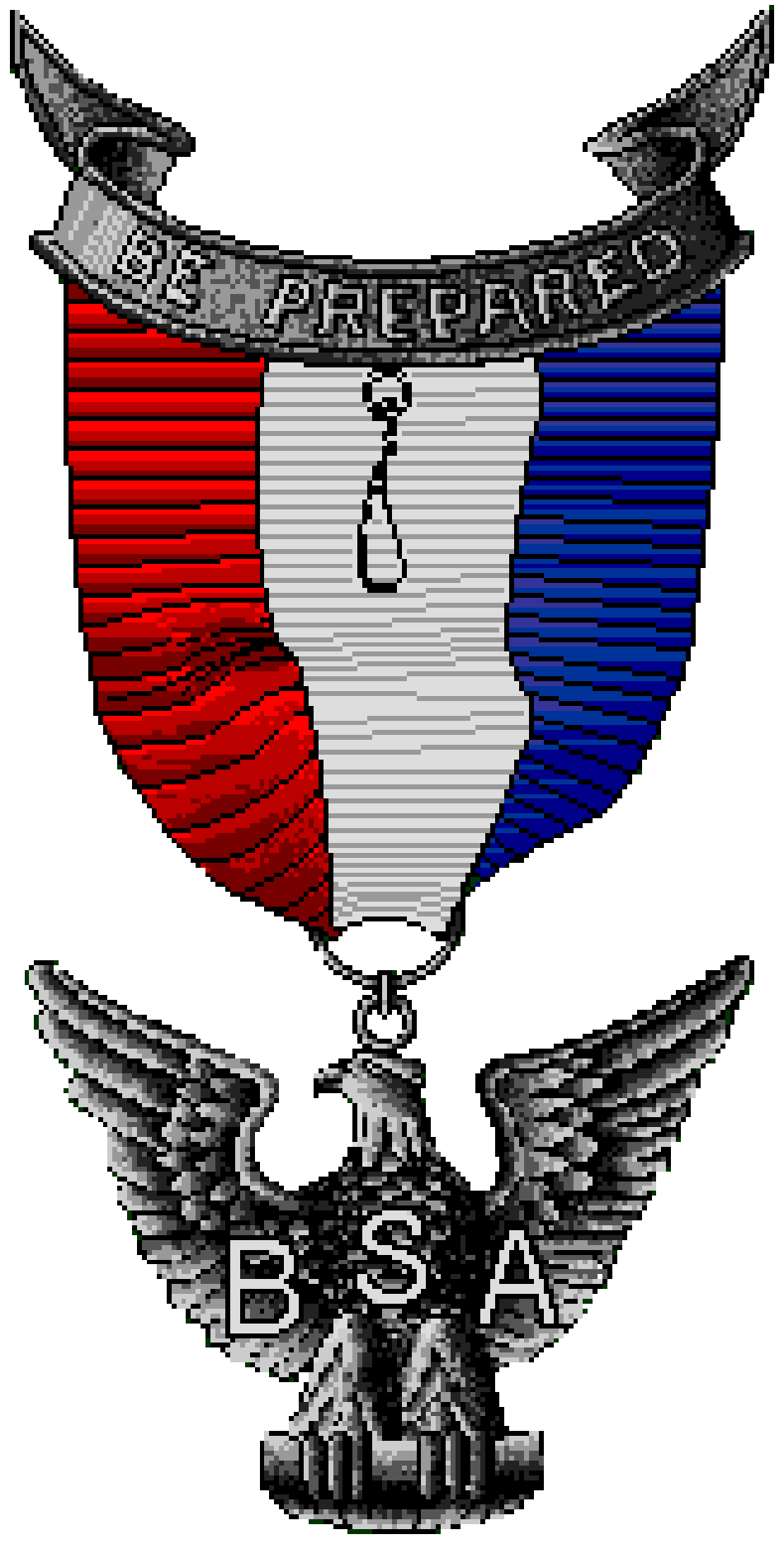 Eagle Scout Advancement Update