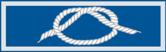 District-Award-of-Merit-Knot.png