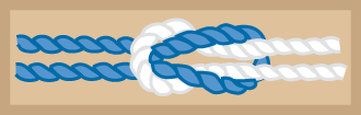 Silver-Beaver-Knot.png