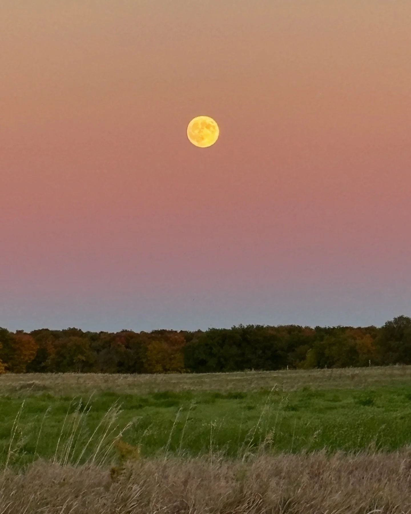 Full Supermoon in Aries ♈️🌕 
.
.
.
As many of you may know, I am obsessed with the moon and have been learning about astrology and astronomy for a while now. This is the third (and largest) Supermoon of the year, so I wanted to take the time to expl