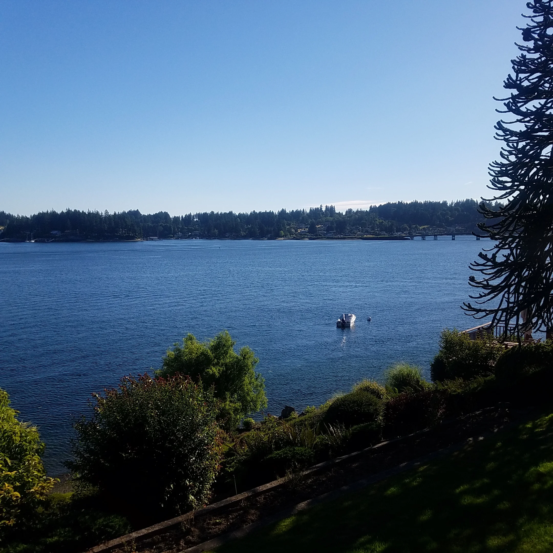 20170718_182617.jpg