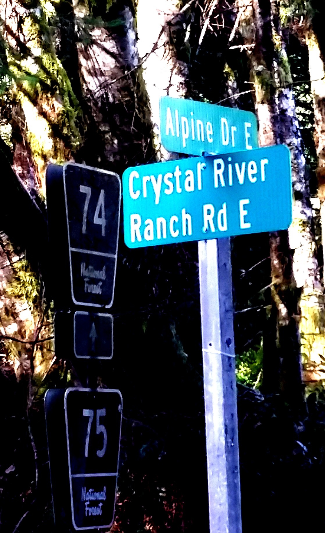 river ranch.jpeg