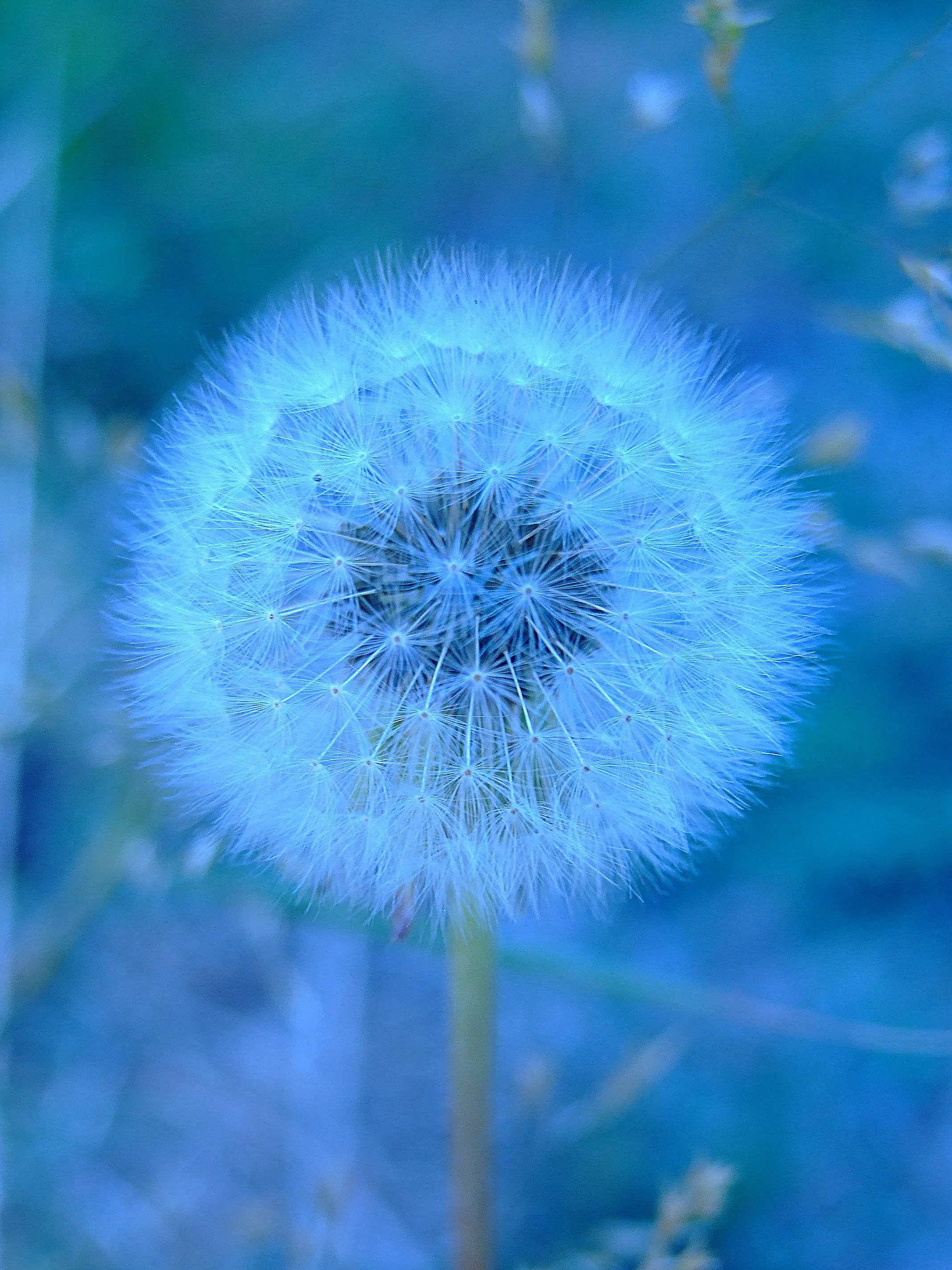 DSCF3843.JPG