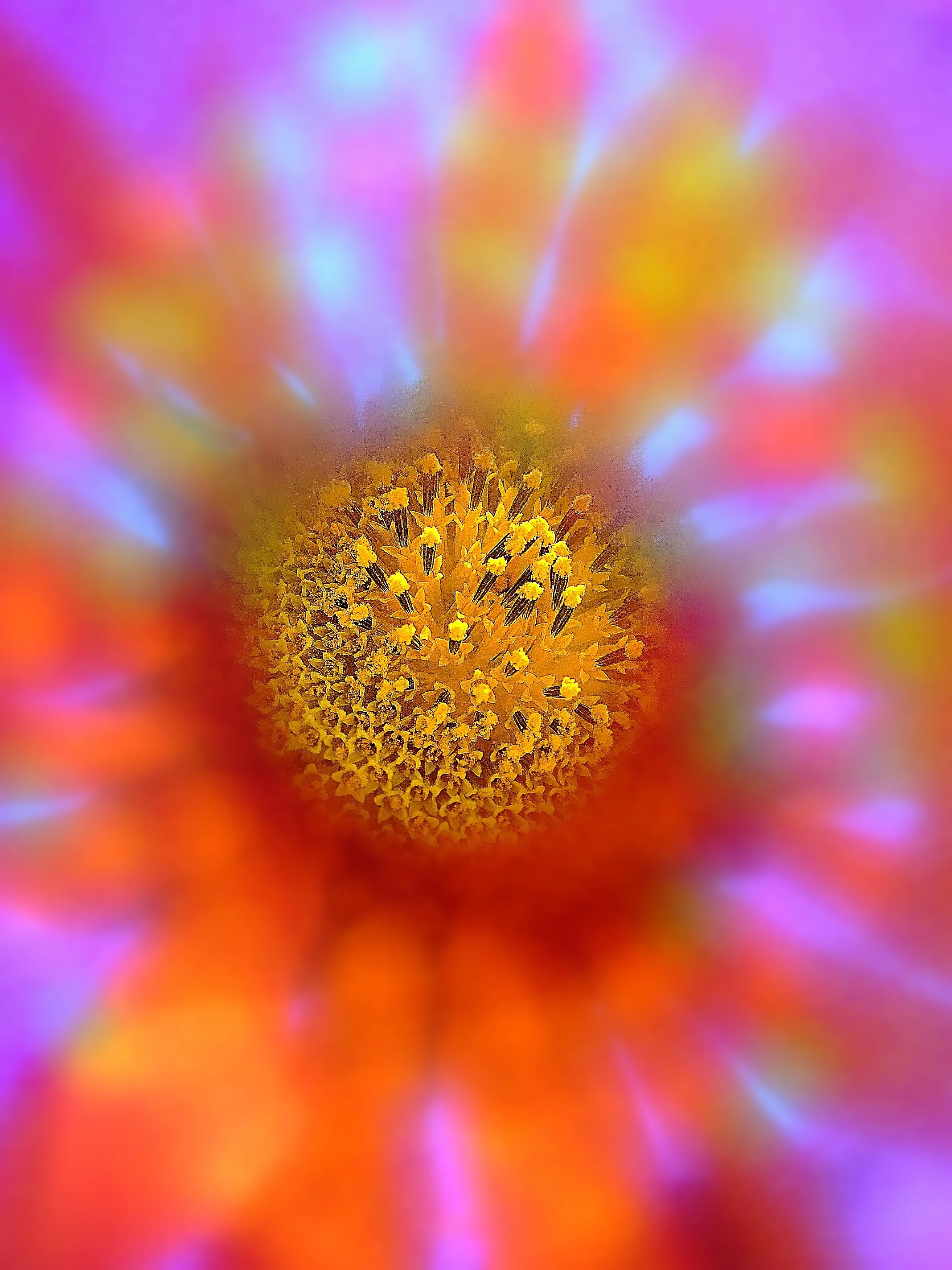 DSCF4563.JPG