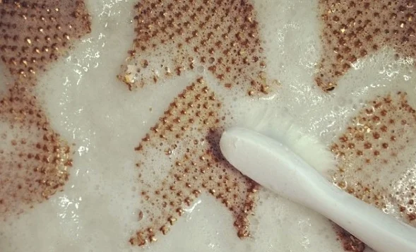 mesh-cleaning-process-maralrapp.jpg