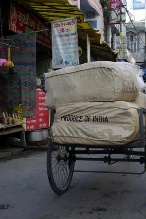 Indian Independence.jpeg