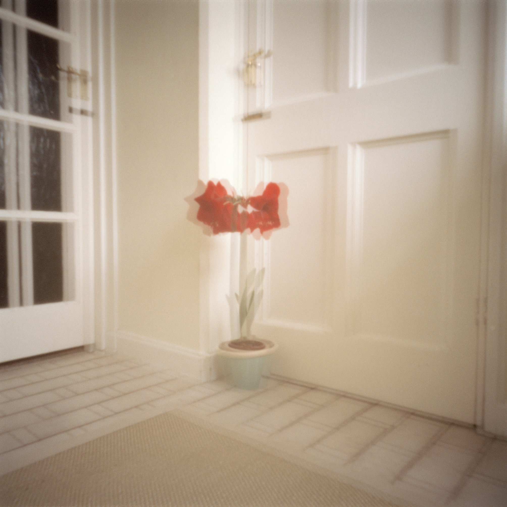shoe room with red flower.jpg
