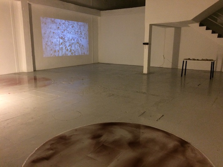 Partes da Terra / Ground Parts - PADA Galley Space, Barreiro, Portugal, 2019