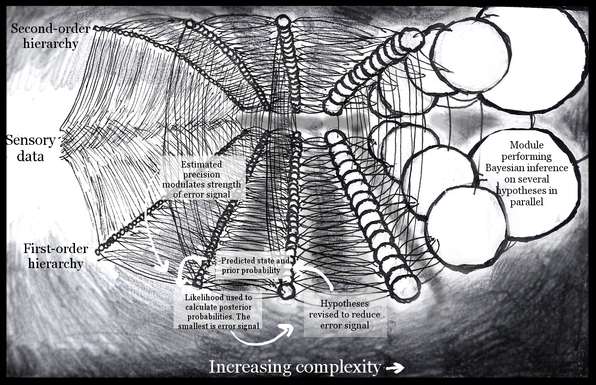 According to the "predictive coding" approach, the brain learns by implementing Bayesina inference, in which predictions about sensory state are continually revised to minimize the mis-match with actual data. Revisions cascade upwards an analytical hierarchy, and the best high-level hypothesis determines perceptual content.