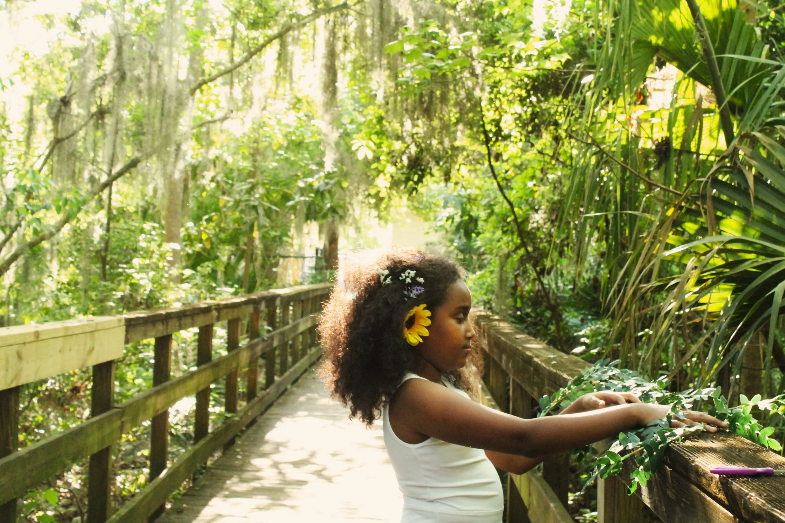 Natural Hair: Spring