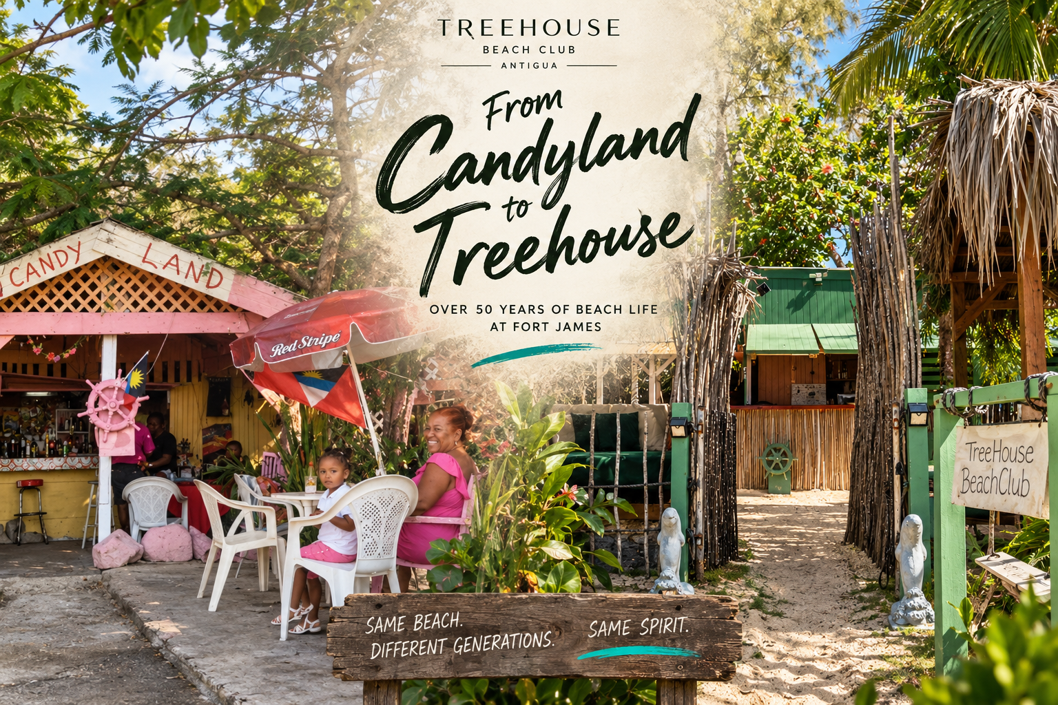 FROM CANDYLAND TO TREEHOUSE