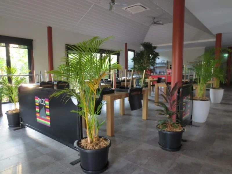 Cafe Interior, Cable Beach