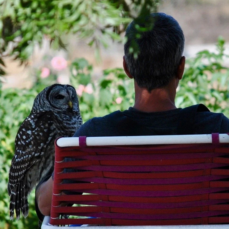 ...and a raptor rehabilitator.