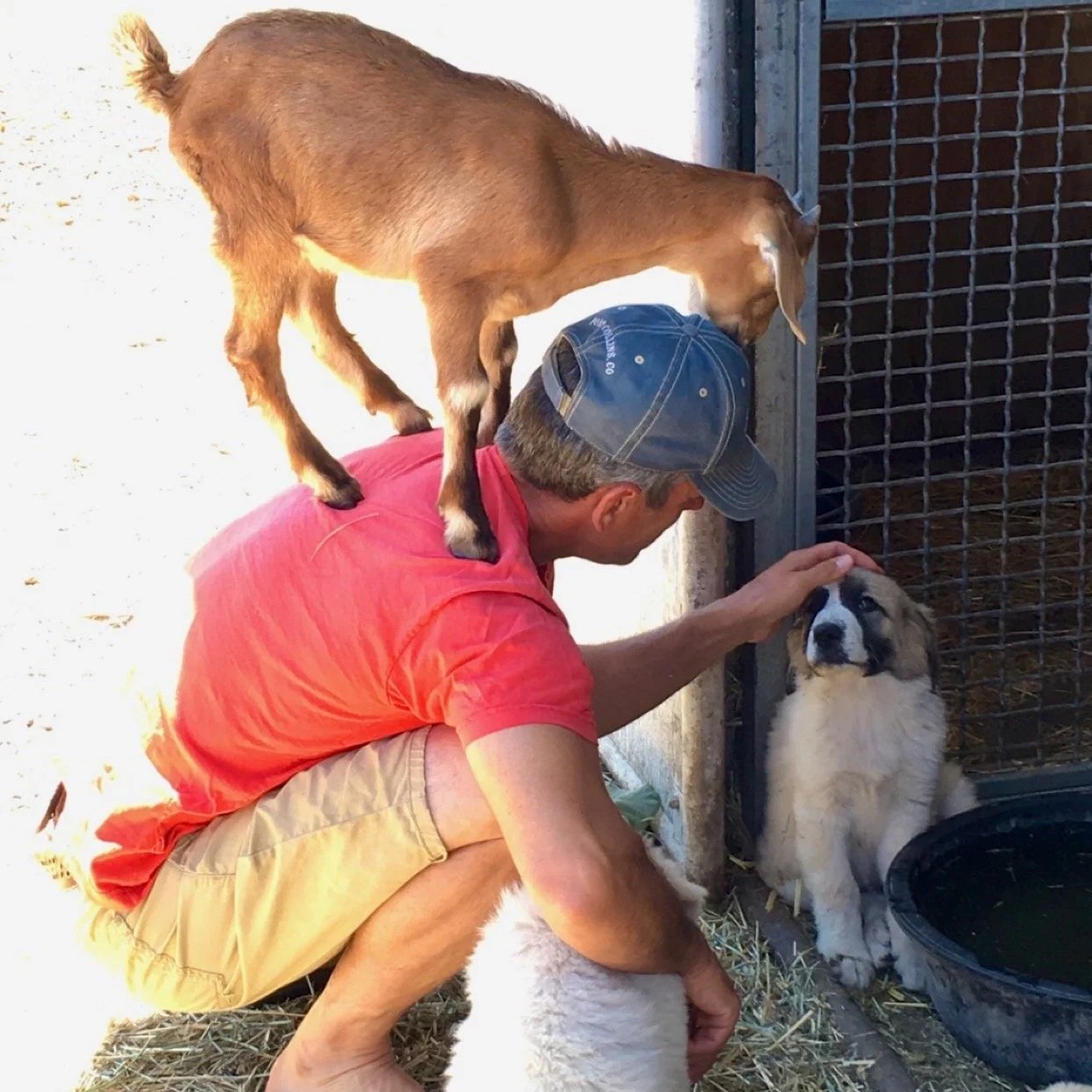 He values deep connections with all life forms.