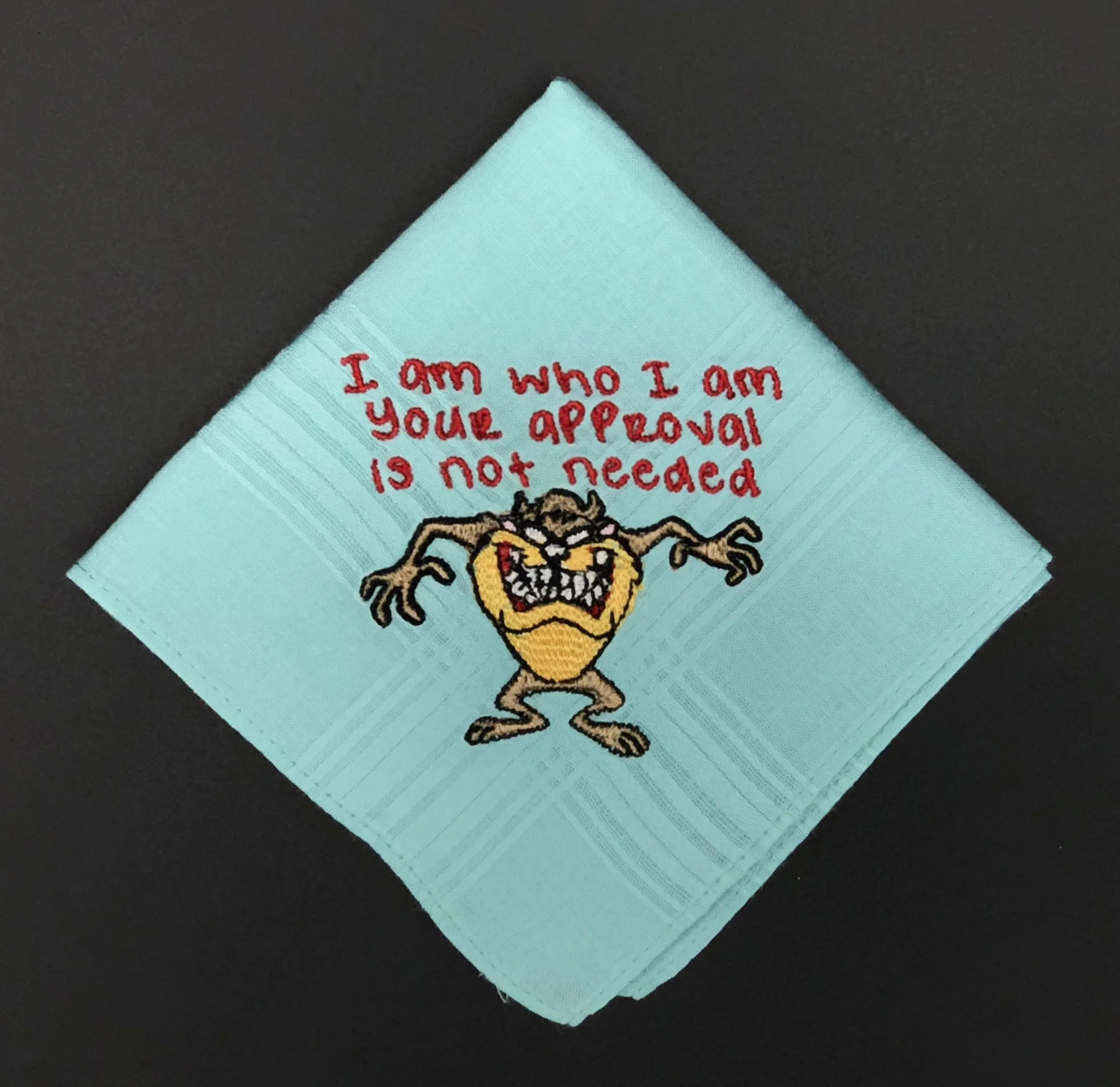 taz teal fold.jpg