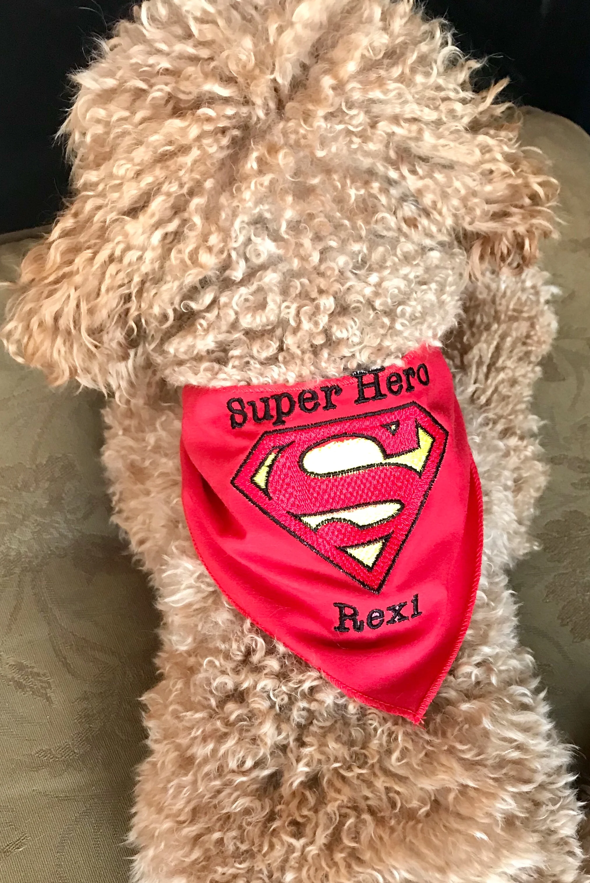 Superhero Petkerchief Custom Embroidered