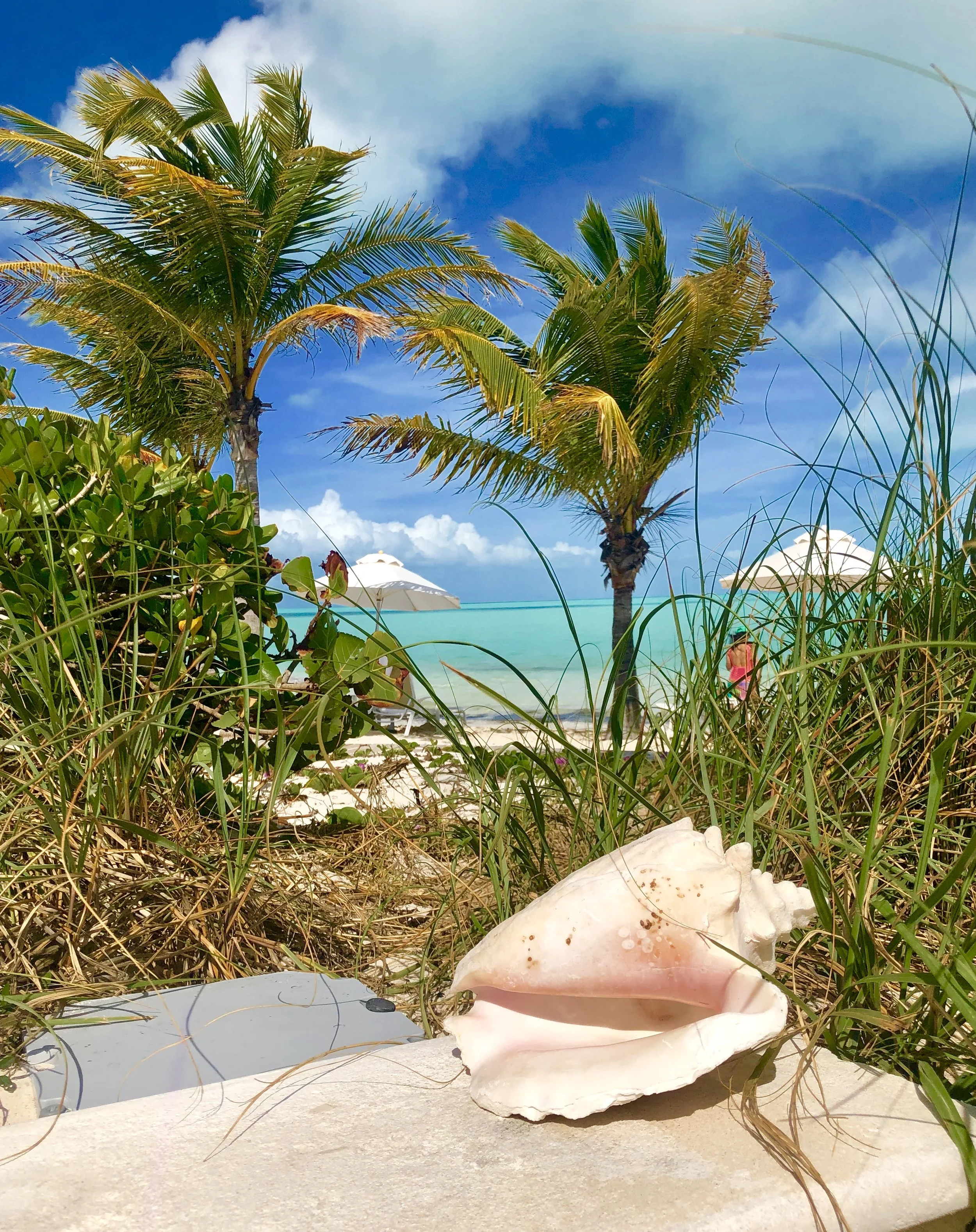 Key things to know about Providenciales, Turks and Caicos