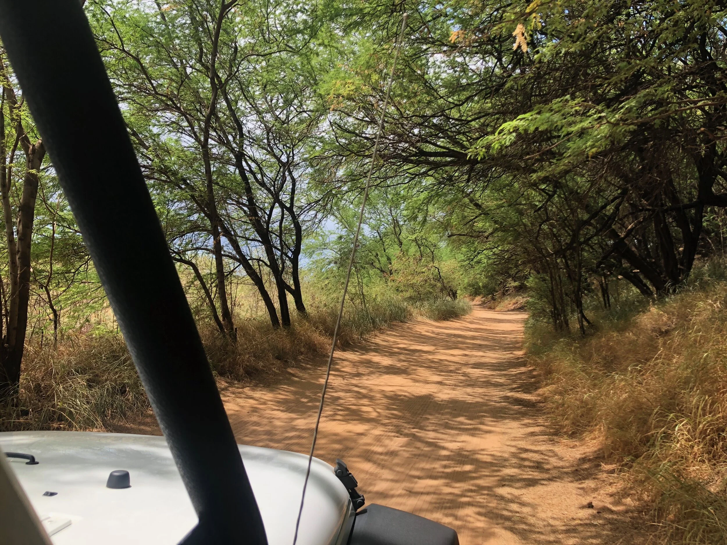 A beautiful dirt road leads the way to the State Park