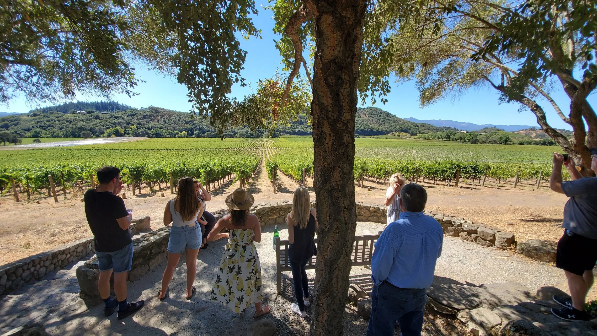 The vineyeard tour at Stags’ Leap