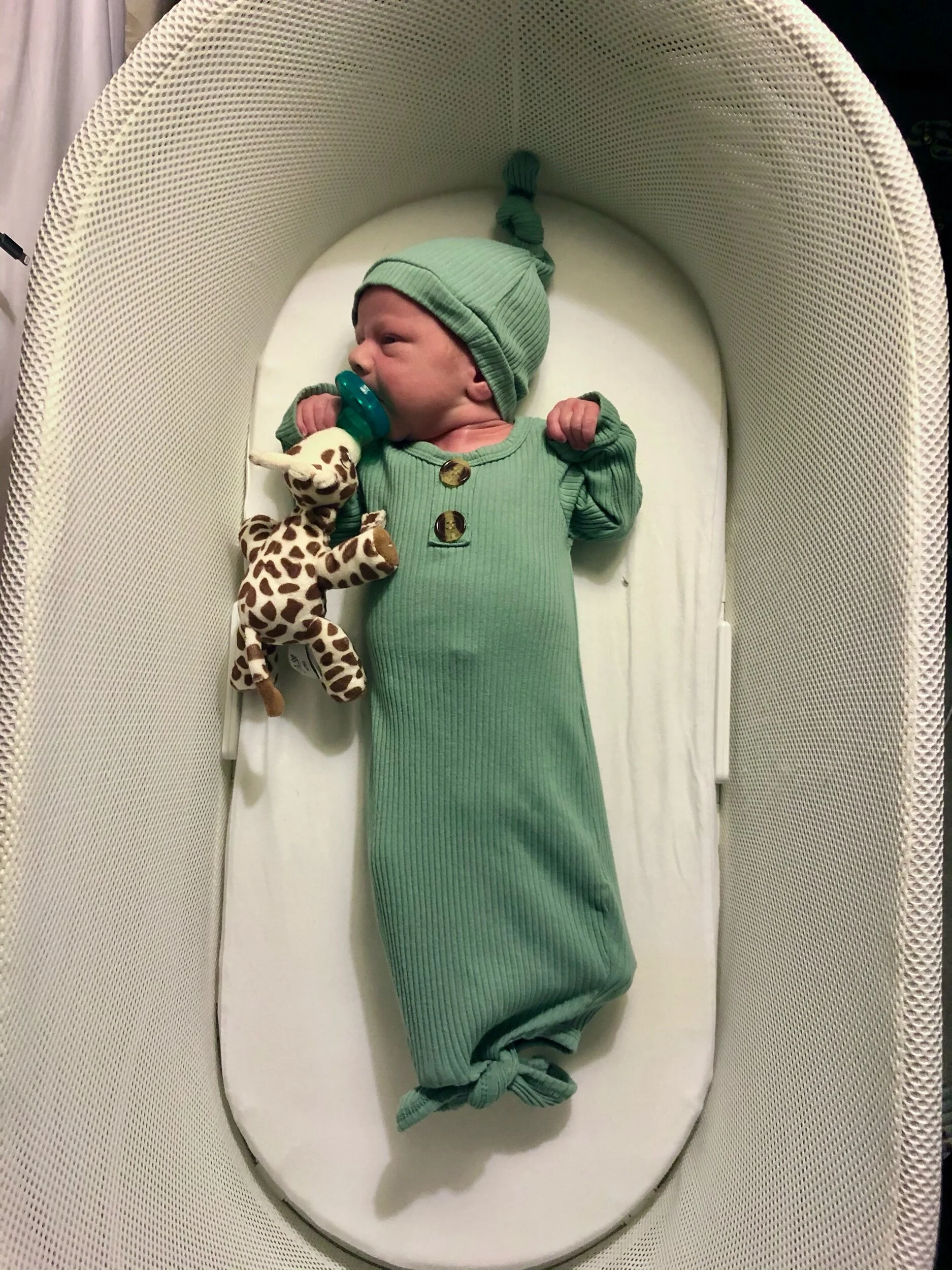 Maddox, October 2020