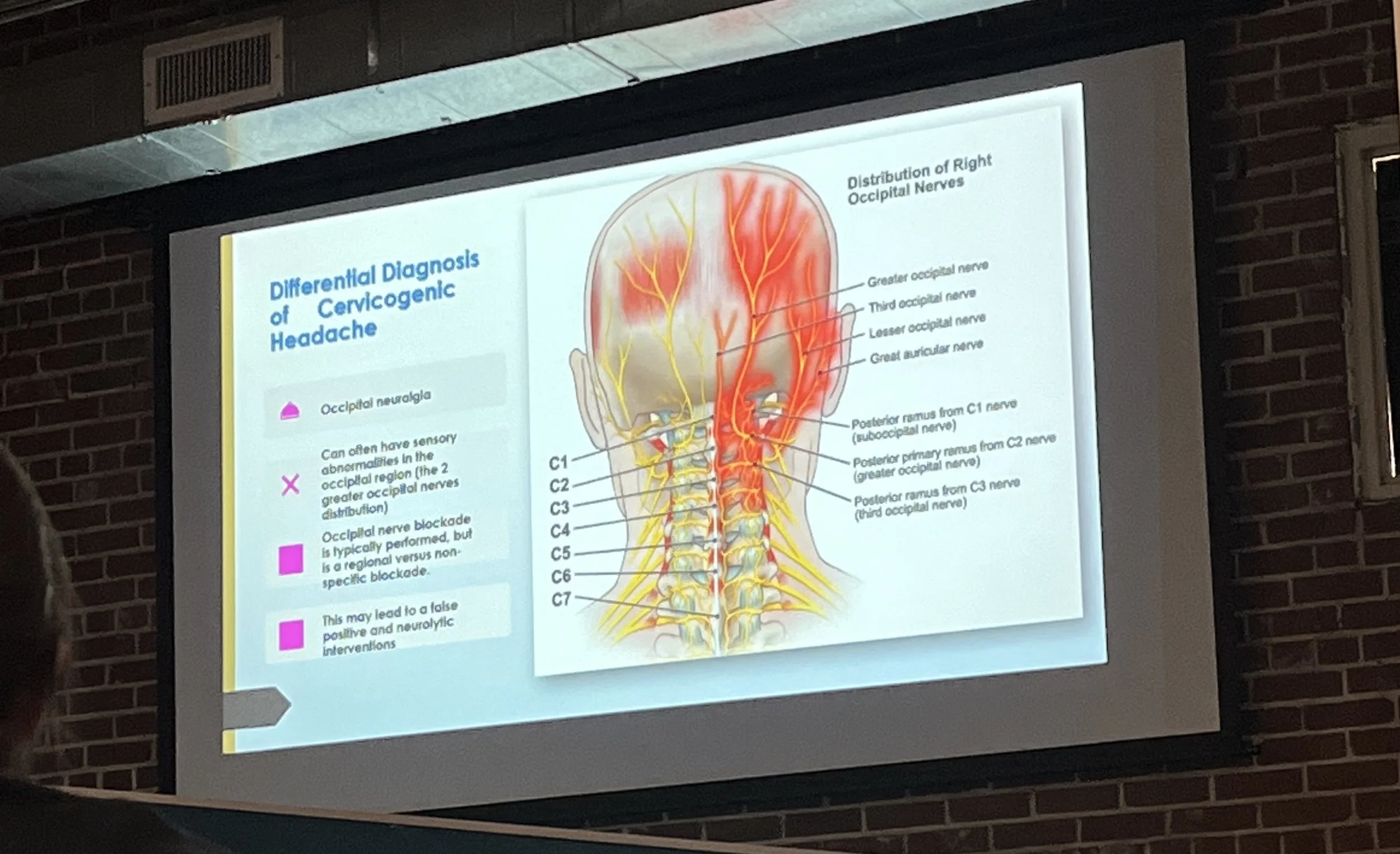 Osteopractors: Your Body’s Best Mechanic