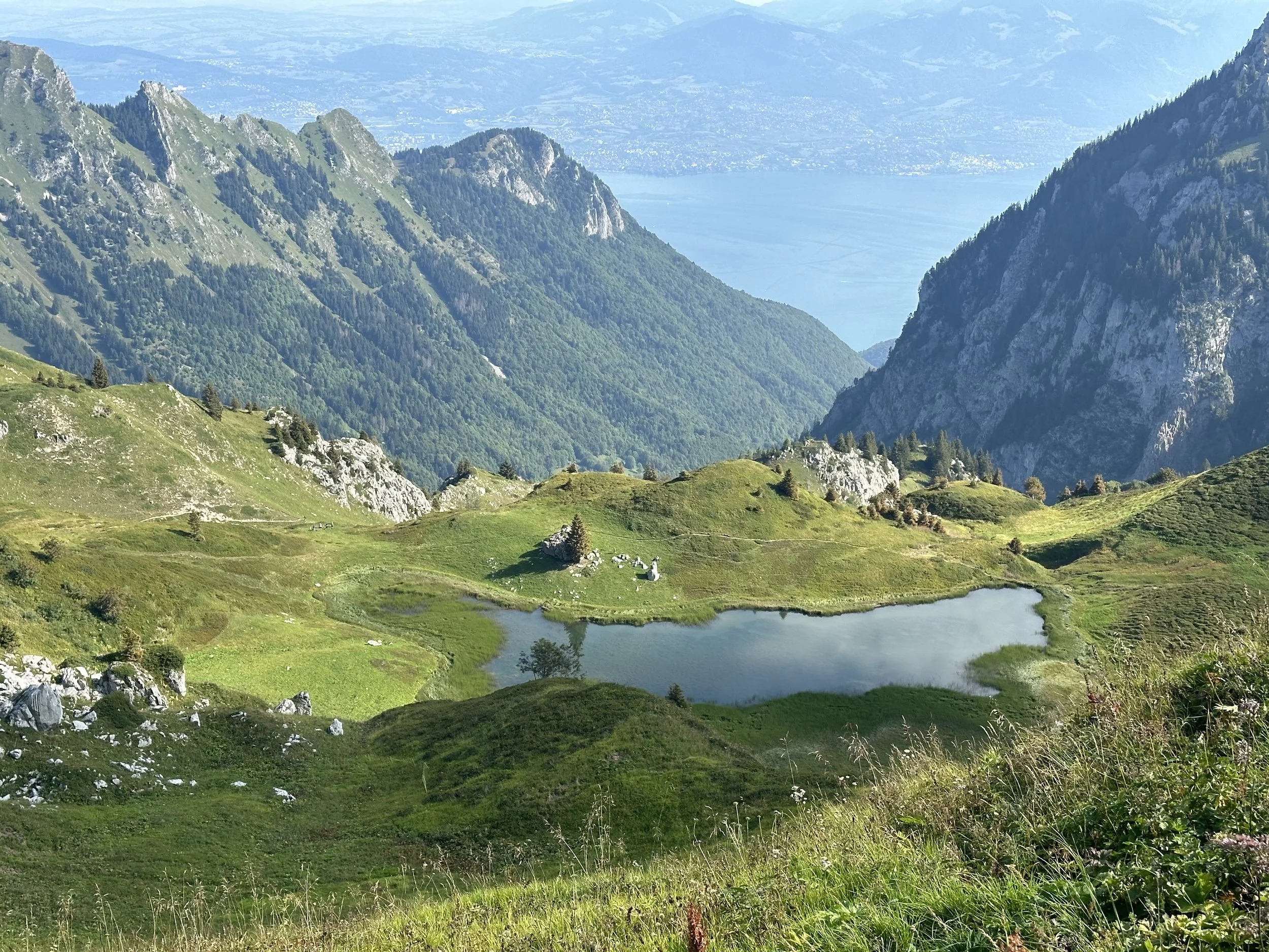 Success Story: Ascent in the Alps