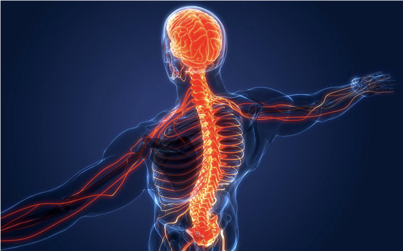 Should You "Work Through the Pain"?