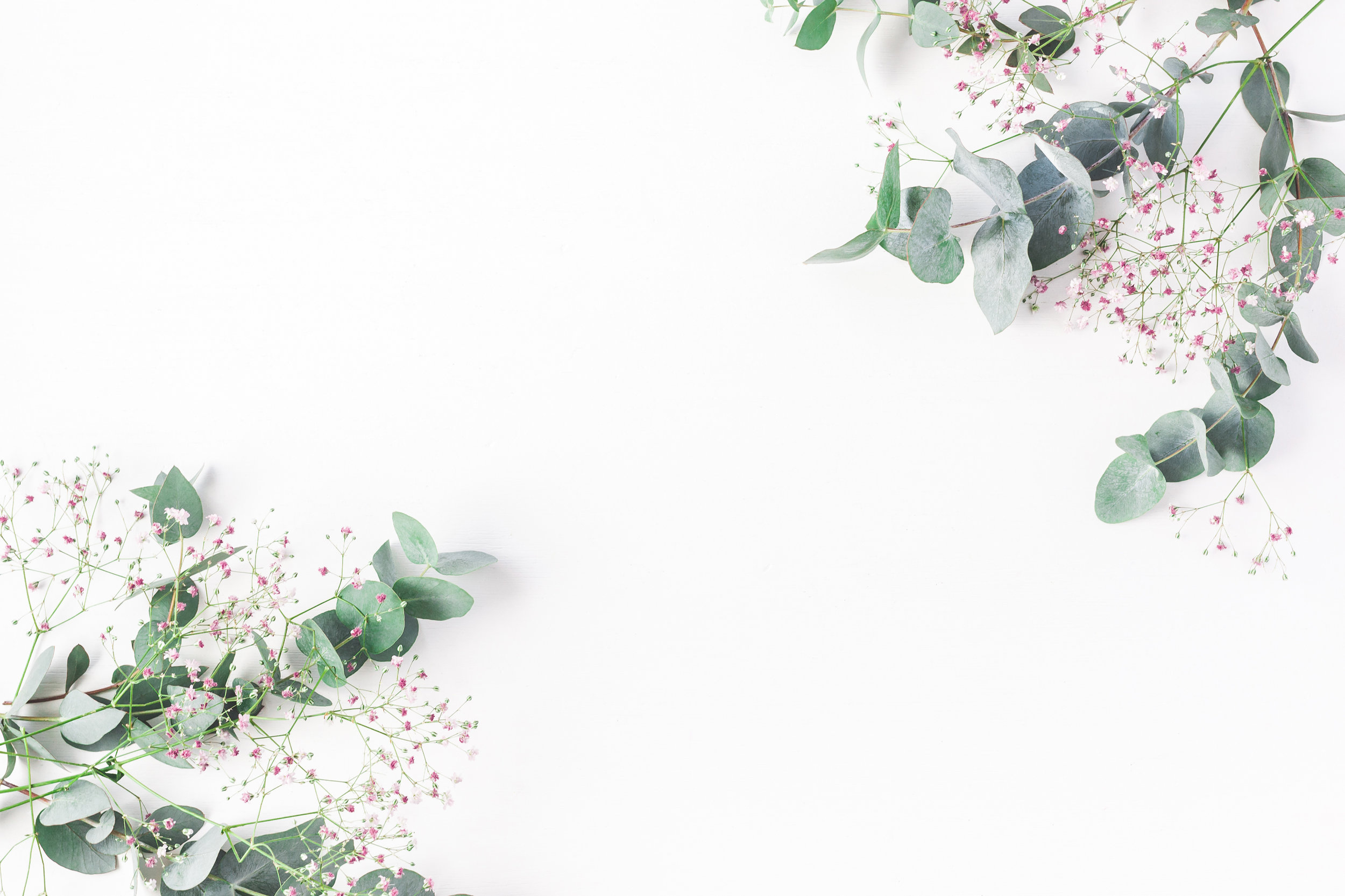 eucalyptus border.jpeg